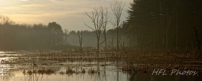 Granby backroads_20150411_30_early sprng lght_DxO.JPG