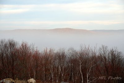 Valley Fog in Early Morning Light