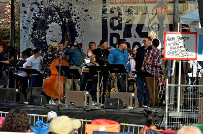 Roots and Jazz Festival 2015
