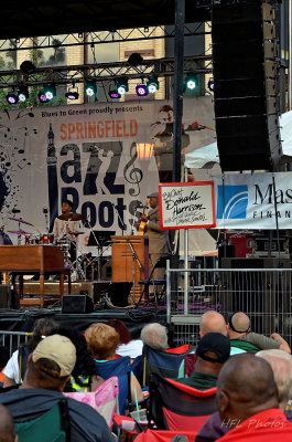 Roots and Jazz Festival 2015
