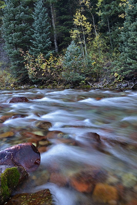 CO - Aspen - Castle Creek 1