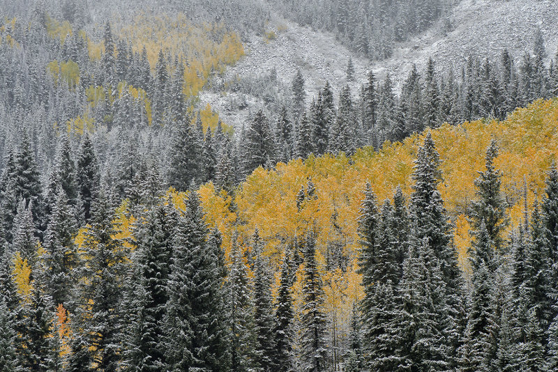CO - Kebler Pass - Lost Lake 7