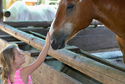 Elizabeth Feeds Horse 3.jpg