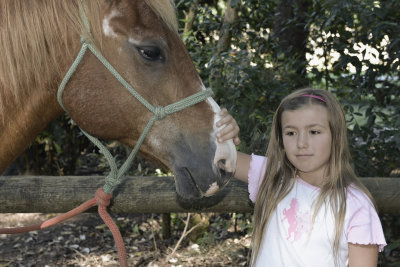 Bella With Horse.jpg