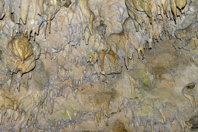 Oregon Cave2.jpg