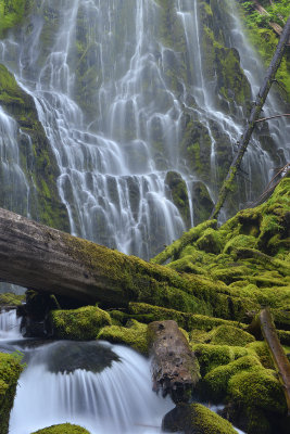 OR Proxy Falls Cascade Foreground.jpg