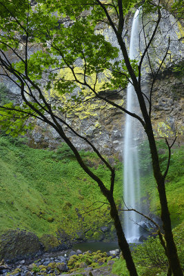 OR - Columbia River Gorge Elowah Falls 1.jpg