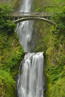 OR - Columbia River Gorge Multnomah Falls 2.jpg