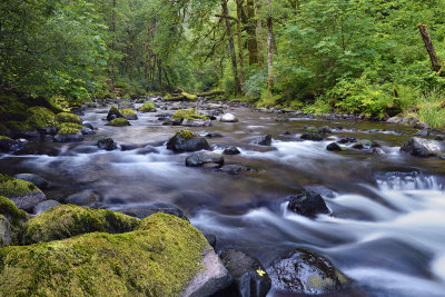 OR - Columbia River Gorge Tanner Creek 1.jpg