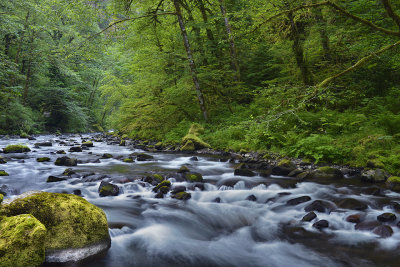 OR - Columbia River Gorge Tanner Creek 2.jpg