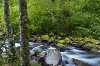 OR - Columbia River Gorge Tanner Creek 3.jpg