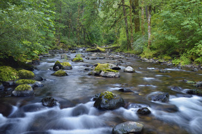 OR - Columbia River Gorge Tanner Creek 4.jpg