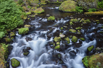 OR - Columbia River Gorge Tanner Creek 5.jpg