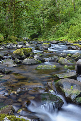 OR - Columbia River Gorge Tanner Creek 7.jpg