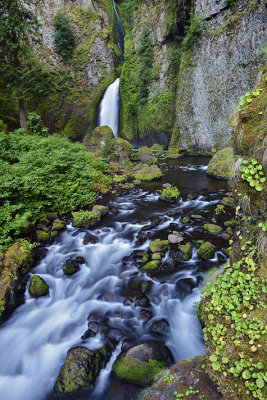 OR - Columbia River Gorge Wahclella Falls.jpg