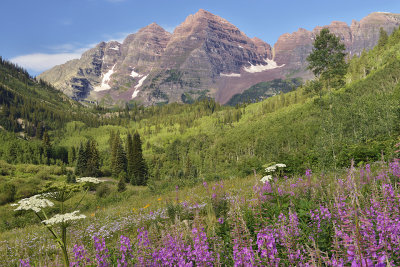 CO - Maroon Bells & Fireweed 1.jpg