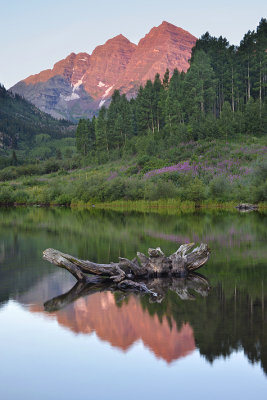 CO - Maroon Bells & Lake Reflection 3.jpg