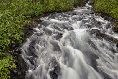 WA - Mt Rainier National Park Paradise River.jpg