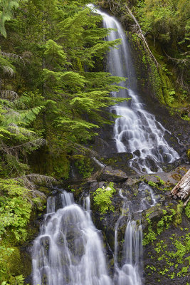 WA - Mt Rainier National Park Fall Creek Falls 2.jpg