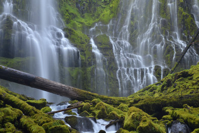 OR - Oregon Proxy Falls 3.jpg