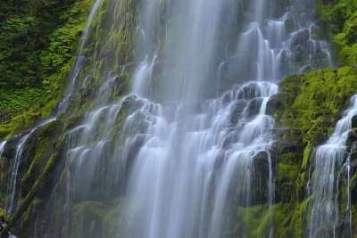 OR - Oregon Proxy Falls 4.jpg