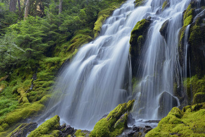 OR - Oregon Proxy Falls 6.jpg