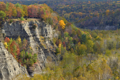 NY - Letchworth Falls SP Overlook 6