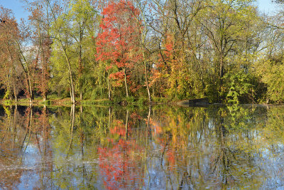 NY - Mill Pond Reflection