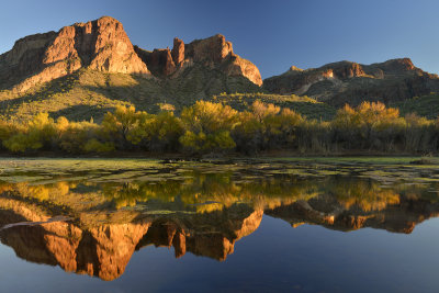 Salt River Fall Color Reflection 3.jpg