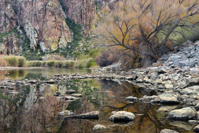 AZ - Salt River Saguaro Ranch 1