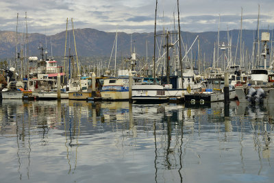 Santa Barbara Harbor 13.jpg