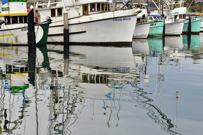 Santa Barbara Harbor 18.jpg