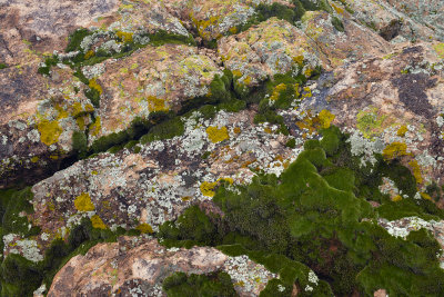 Apache Trail Rocks & Lichen.jpg