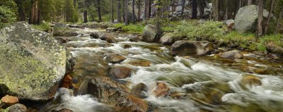 CA - Yosemite NP - Dana Branch River 1