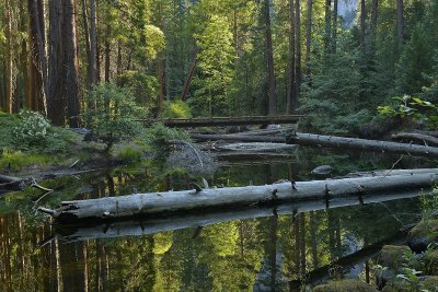 CA - Yosemite NP - Lower Yosemite Falls Creek.tif