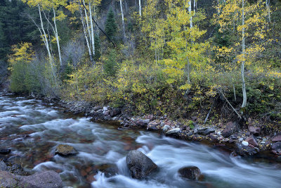 Aspen - Castle Creek 4