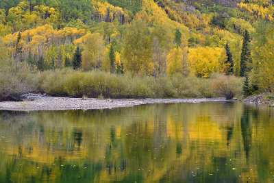 Aspen - Pond Reflection