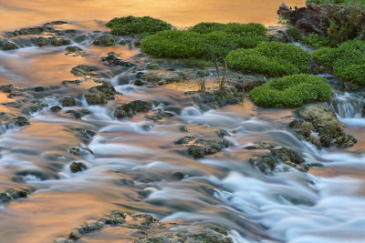 AZ - Havasu Creek Warm Bounce Light 4