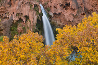 AZ - Havasu Falls 10