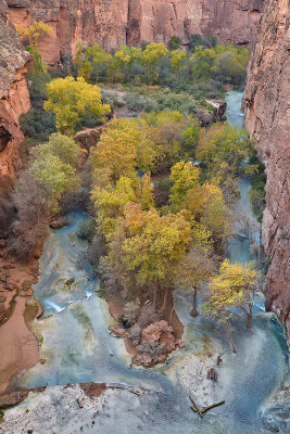 AZ - Mooney Falls Creek Below 3