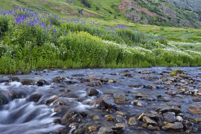 American Basin Creek 4.jpg