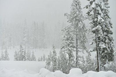 CA - Donner Pass Snow Falling 3