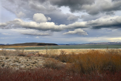 Mono Lake - Roadside View 1.jpg