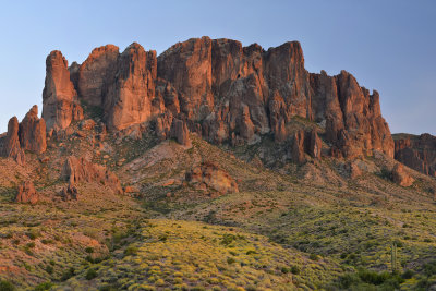 AZ - Lost Dutchman SP Flowers 7.jpg