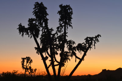 AZ - Lost Dutchman Sunset.jpg