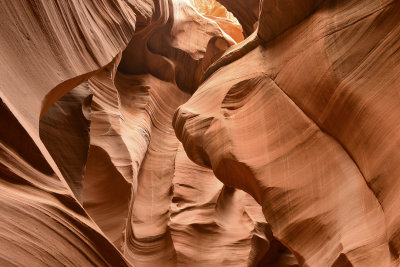 AZ - Lower Antelope Canyon 6.jpg