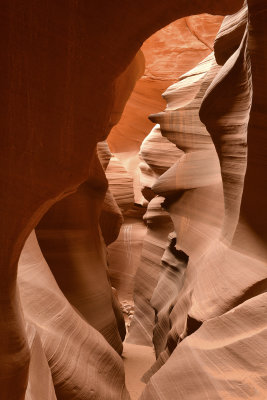 AZ - Lower Antelope Canyon 8.jpg