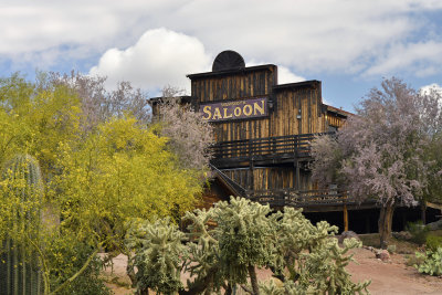 AZ - Goldfield Saloon & Blossoming Trees 2