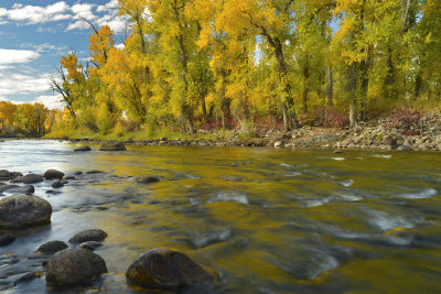 Elk River 12 (2).jpg
