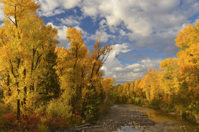 CO - Hahn's Peak Elk River 3